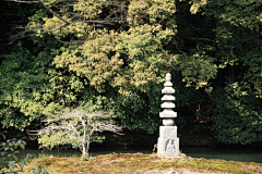 狼礼采集到真空妙有