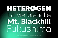 9款Galpike酸性复古极简品牌logo杂志画册排版vi规范英文字体家族下载_颜格视觉