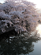 琵琶湖疎水02 : Explore Tetsuhiro Kikuchi's photos on Flickr. Tetsuhiro Kikuchi has uploaded 984 photos to Flickr.