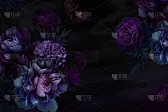 花束花园牡丹,玫瑰,郁金香.鲜花贺卡与文字的空间。黑色背景上的植物创意布局。花、叶和装饰植物。自然概