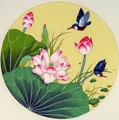 Dan`joo采集到花