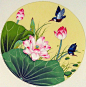 Chinese bird paintings - Kingfisher and Lotus