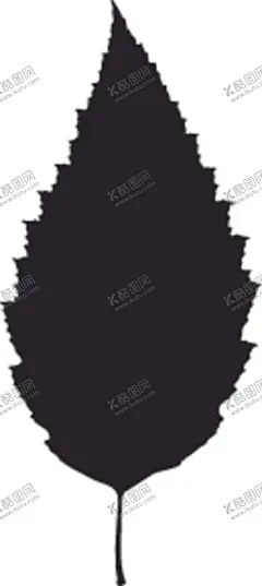 植物系列树叶 【酷图网】植物系列,树叶,叶子,剪影,黑白图,光合作用,绿叶,衬托,Tree,leaf,叶脉,网状脉,平行脉,单叶,复叶,呼吸,二氧化碳,氧气,植物剪影,大自然,灌木,乔木,铁艺,镂空,雕刻,精美,装饰,酷炫,潮流,背景图,底图,包装设计,元素,板报,海报,模板,企划