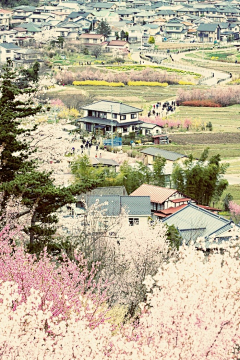 谷瀑溪风采集到风景