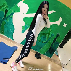 雾中赏花采集到糖糖吉祥