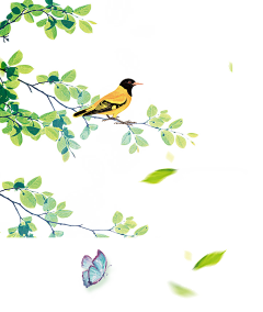幸运的锦玥采集到花卉植物素材