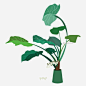 小清新植物盆栽插画png素材图片大小1024x1024px 图片尺寸263.94 KB 来自PNG搜索网 pngss.com 免费免扣png素材下载！花盆#卡通#盆栽插画#手绘盆栽#小清新#植物花卉#植物盆栽#装饰图案#