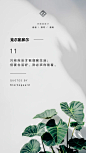 “
只有向后才能理解生活；
但要生活好，则必须向前看。
“
——〔丹麦〕索伦·克尔凯郭尔
