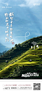 田园