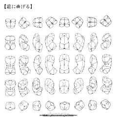 Raice采集到人体结构