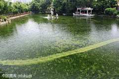 灯火阑珊南海采集到人与自然