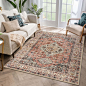 Eleanor Oriental Vintage Distressed Terracotta Area Rug | Lahome