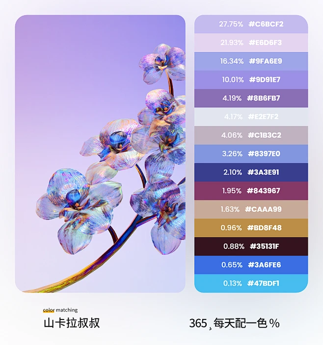 配色-花瓣网