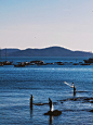 clay-wong-j3NnznF7lio-unsplash
