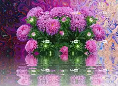 Asters 落下 花壁纸 美丽的花朵 花朵紫色的 秋天的紫苑 秋花