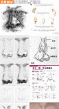 人物鼻子线稿绘画资料图片集 人体五官结构素描漫画解剖参考素材-淘宝网