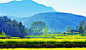 @北坤人素材