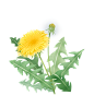 9c78d9f208ca2b56ee4744c8539c8dc0db5f144e54e6e-s88szs_fw1200
