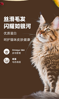 jiushixiaoluya采集到宠物