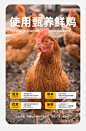 宽福冻干无谷猫粮增肥发腮成猫幼猫十大品牌专用20全价生骨肉斤装-tmall.com天猫
