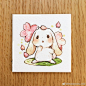Rabbit ​​​​