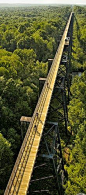 The Infinite Gallery : High Bridge Trail State Park