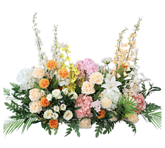 雨落の花香采集到【勉抠】---png花