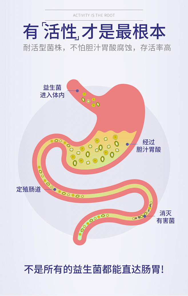 NOW Foods诺奥男女益生菌成人调理...