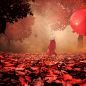 Photograph Joy of a red autumn by Caras Ionut on 500px