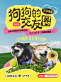 狗狗的交友圈｜汪汪队联盟召集令！