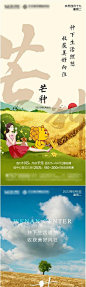 芒种-志设网-zs9.com