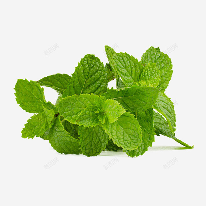 薄荷薄荷叶绿色健康喝愈合叶子苏打水中药香...