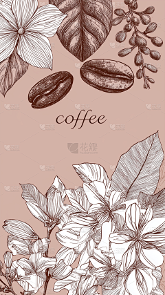 花瓣素材-植物图片采集到花卉