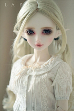 TG8cZazV采集到BJD