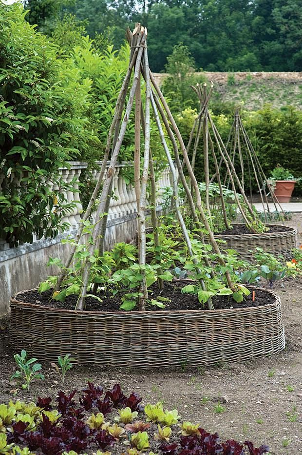Cool raised beds
