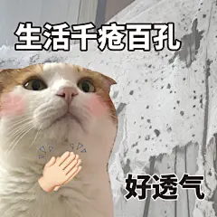 向小猫学习好心态 - 小红书