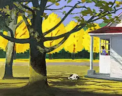 毕业于多摩美术大学的日本插画师船津真琴，原本专业是油画。在她的作品中，我们可以感受到丙烯颜料调整光线和饱和度所带来的透视感和感染力。
真琴有意令画布的每个部分都被当成相同颜色的表面。她对宁静冷色调的敏感运用、大胆的明暗处理，使她的插画性绘画呈现出淡淡的忧郁和现实主义。
她很注重表现熟悉的风景和人物所具备的感觉，希望观众的情感因此被触动，也因此吸引了众多出版商邀请她为书籍绘制封面。
