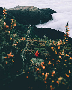 我自倾怀、君且随意采集到那时的美景，你都不曾赏过