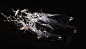 orca5.6.jpg