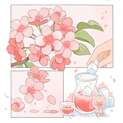 一团猫线采集到H-1植物
