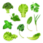10款精美绿色蔬菜矢量素材