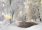 冬天,地形,库赫莫,拉普兰,幻想,雪,秘密,白桦,芬兰,美图片素材下载-稿定素材