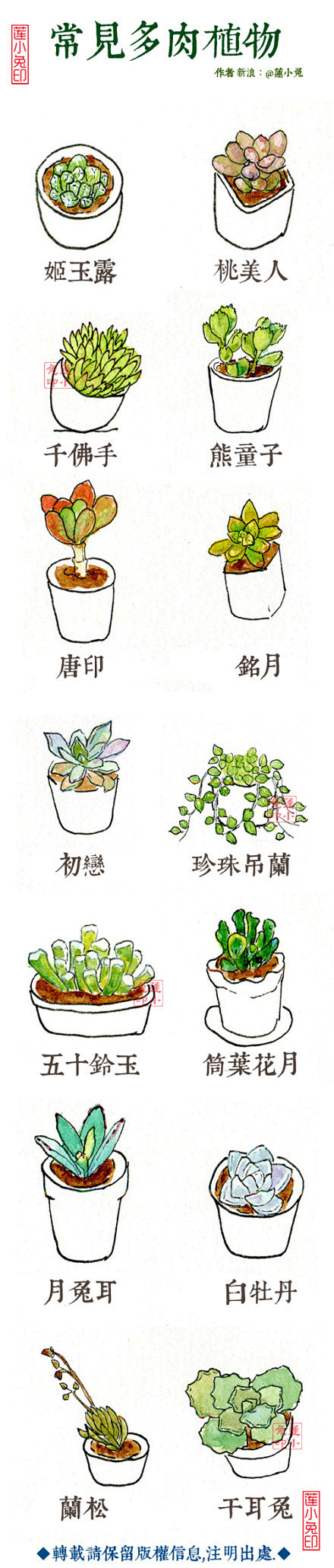 #每日一幅，简笔画#【可爱的多肉植物手绘...