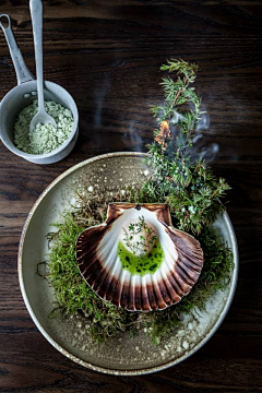 ~白大喵~采集到美食