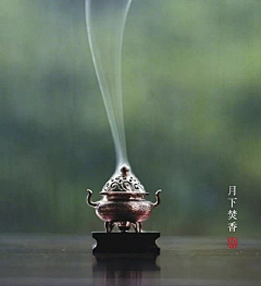 明琪12采集到茶