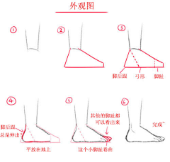 SonneZz采集到脚