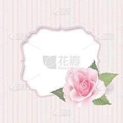 花束,羽绒被,背景,白色,华丽的,周年纪念,铁丝网,花,生长,问候