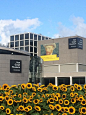 I have just returned from 3 days in Amsterdam where I enjoyed a visit to the Van Gogh Museum. Banks of cut sunflowers (and long queues!) led the way to the entrance (left) I am honoured that one of…: 