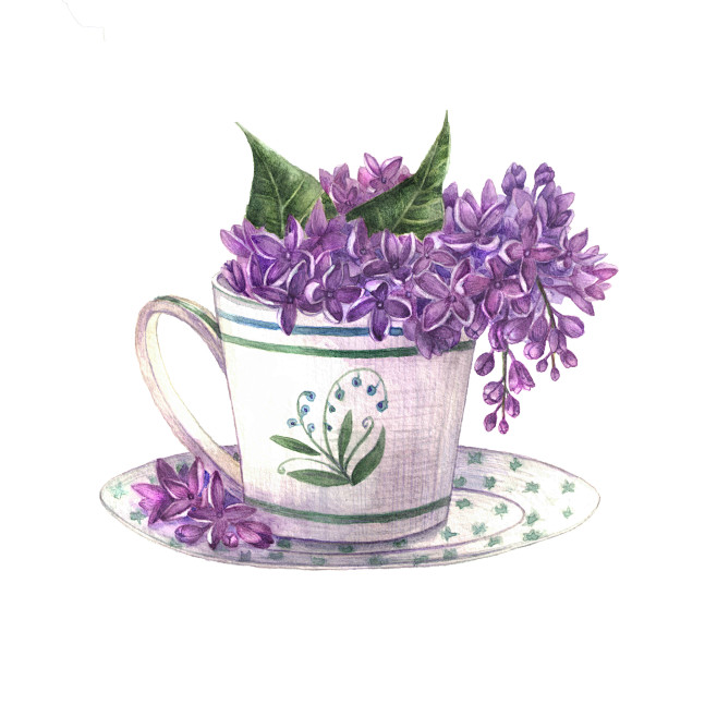 水彩植物