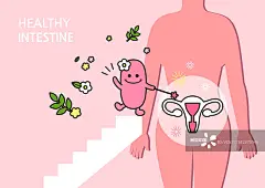 消化系统，乳酸菌，性格，健康生活，营养图片素材
